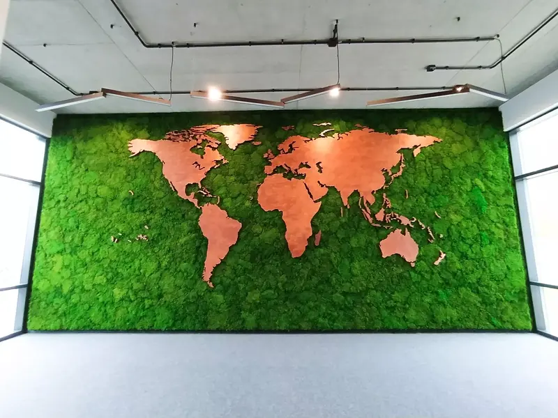 Mech chrobotek, obraz z mchu,  dekoracje z mchu, panele z mchu, ściana z mchu, zabudowa z mchu