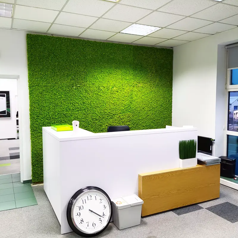 Mech chrobotek, obraz z mchu,  dekoracje z mchu, panele z mchu, ściana z mchu, zabudowa z mchu