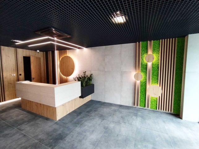 Mech na ścianę: panele z mchu, obraz z mchem i inne zastosowania mchu w dekoracji wnętrz